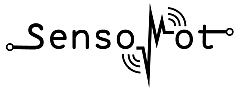 Forschungsprojekt SensoMot